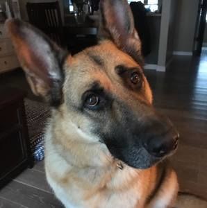 Meet your Posher, Deb